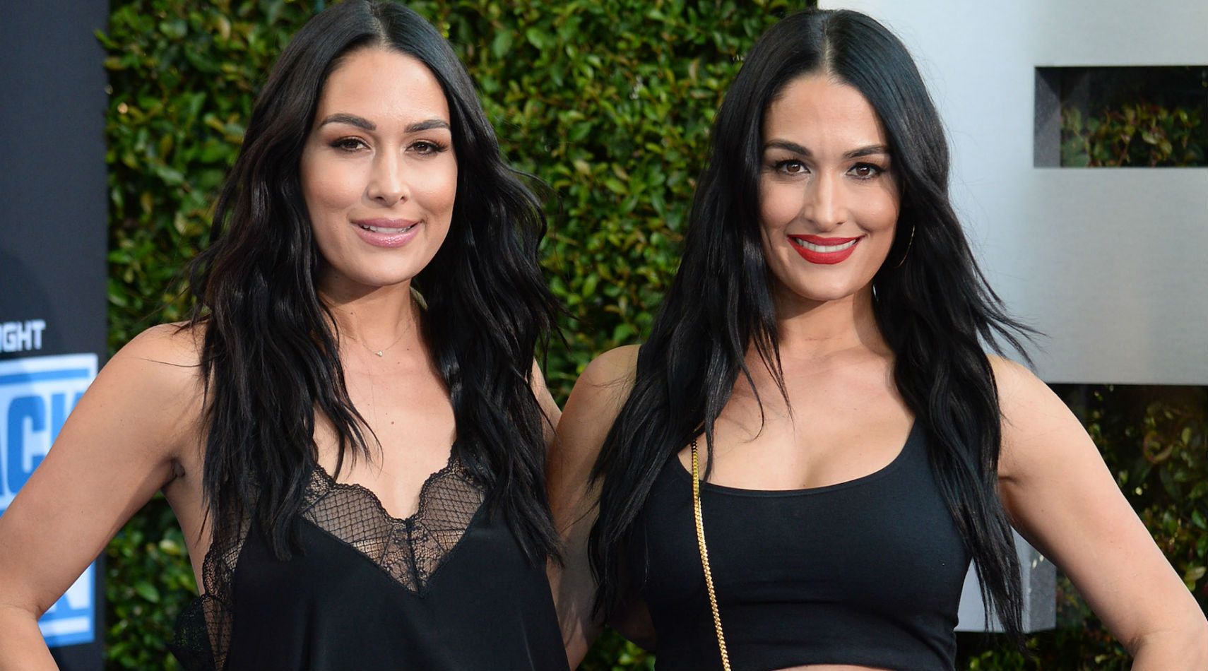 Bella Twins Show Off Matching Baby Bumps