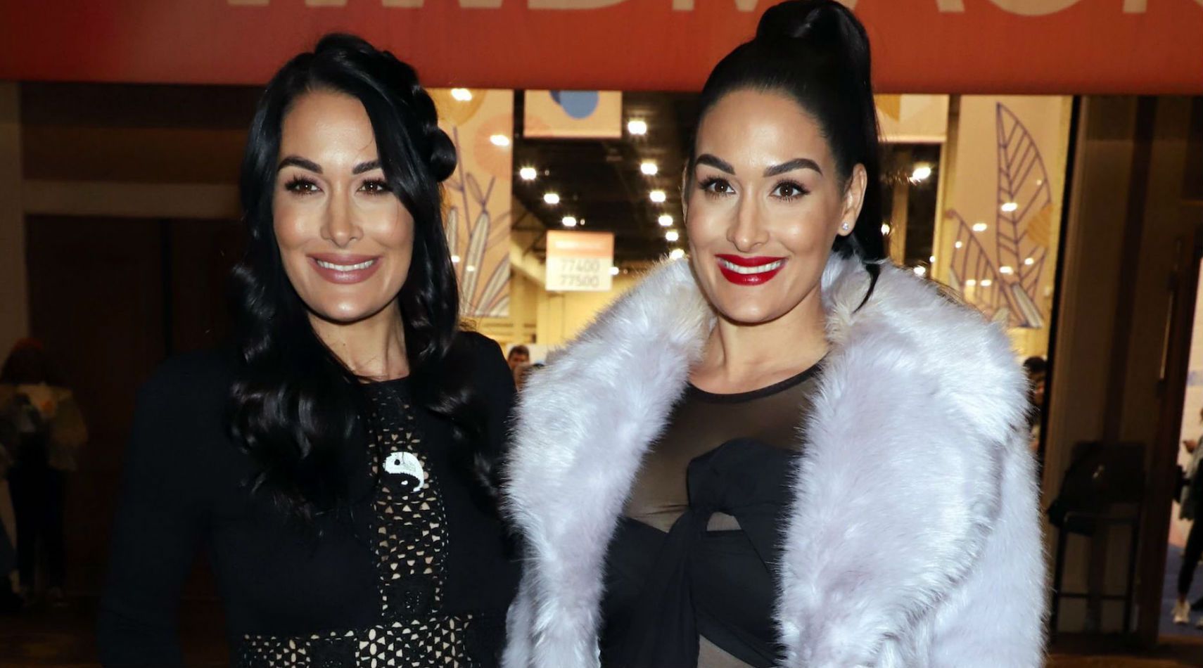 VIDEO Brie Bella Is Concerned Nikki Bella "Rushed" Her Pregnancy On