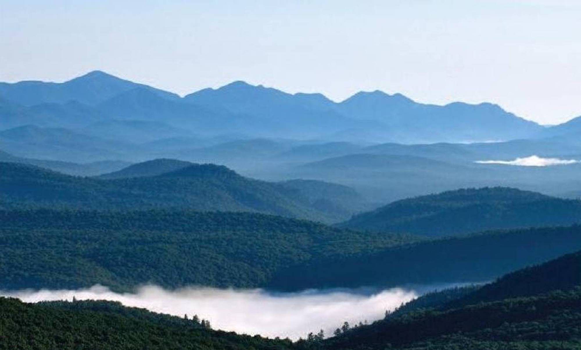 Best Romance Novels (Updated 2020)