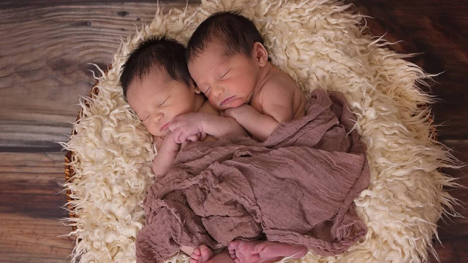 Court Denies Parents' Bid To Adopt Their Biological Twins Born Via ...