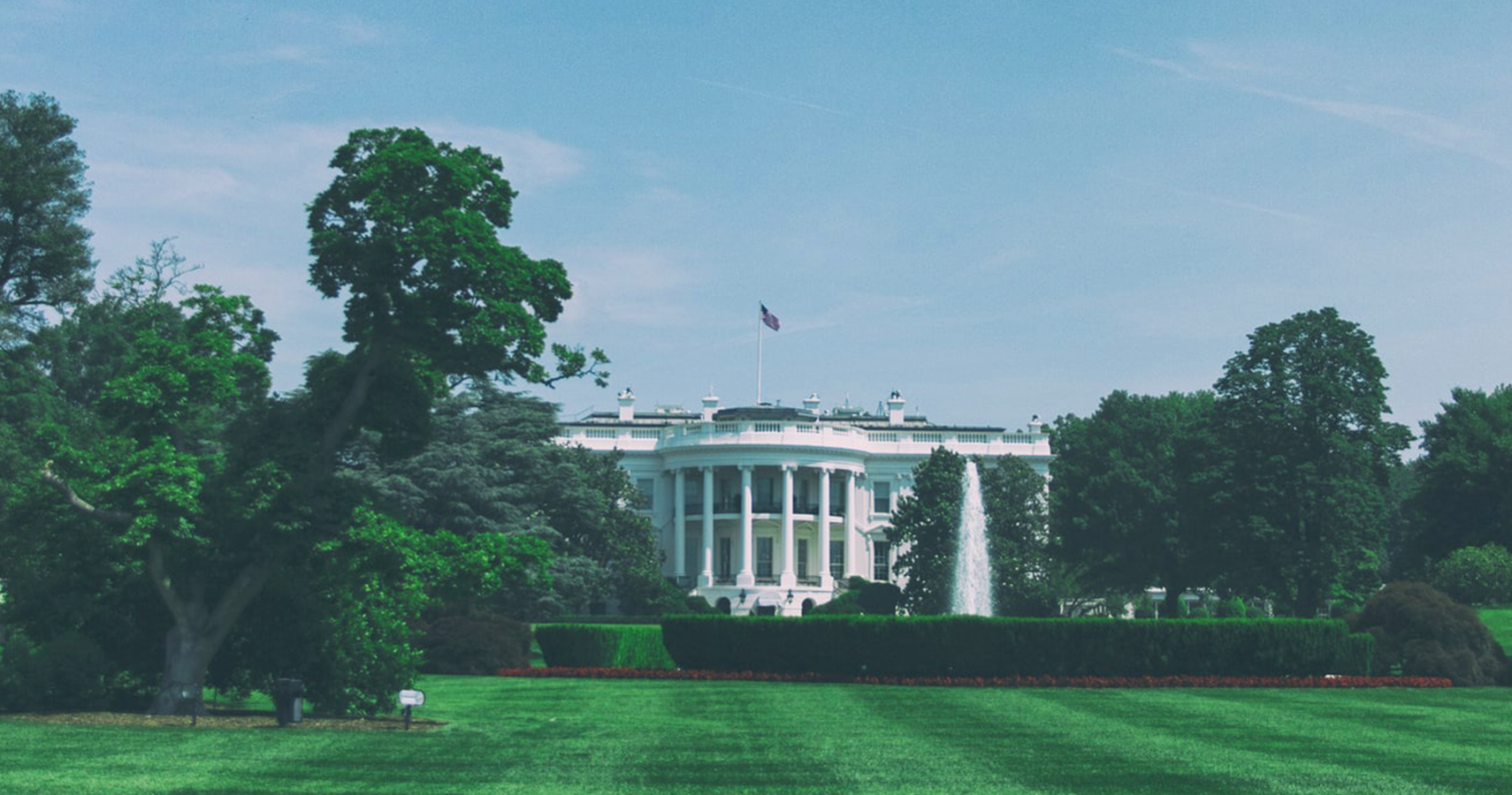 3 Babies Who Were Welcomed In The White House