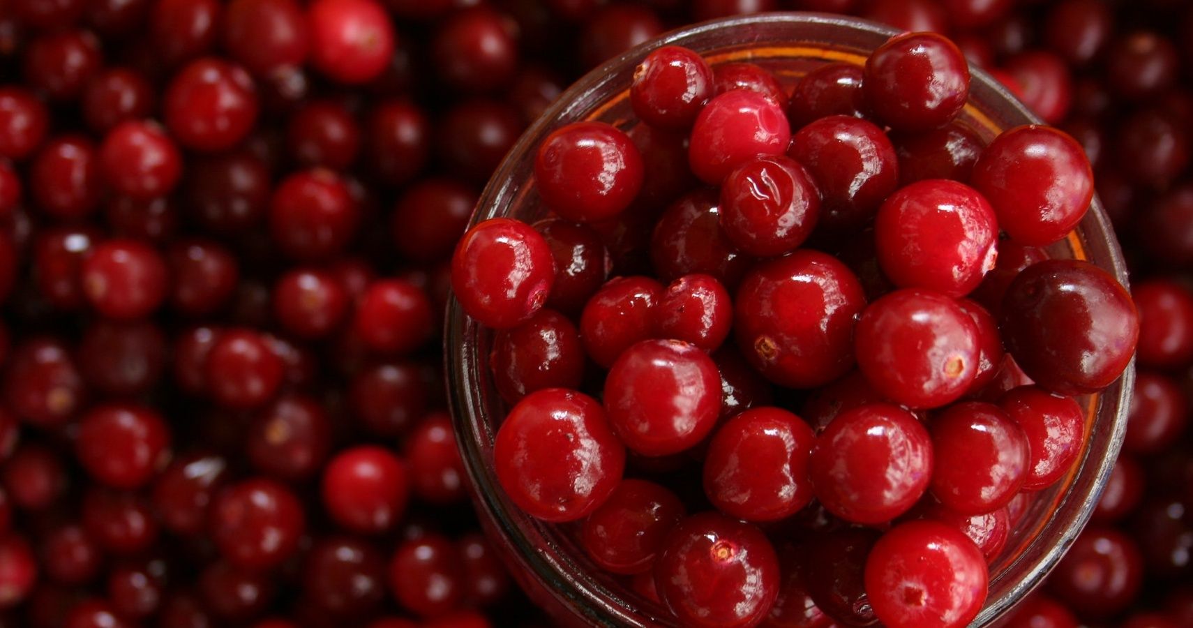 Eating cranberries during pregnancy