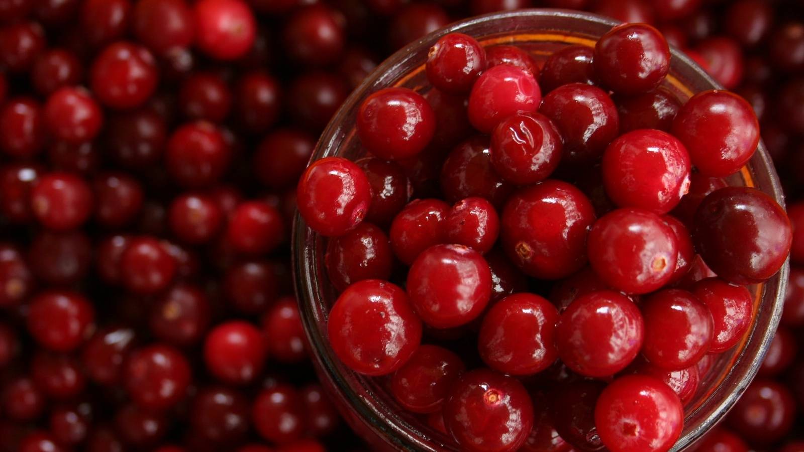 The Surprising Benefits Of Eating Cranberries During Pregnancy