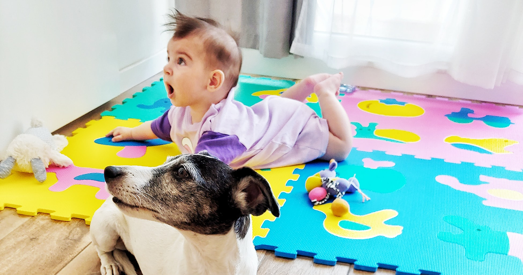 are baby toys safe for dogs
