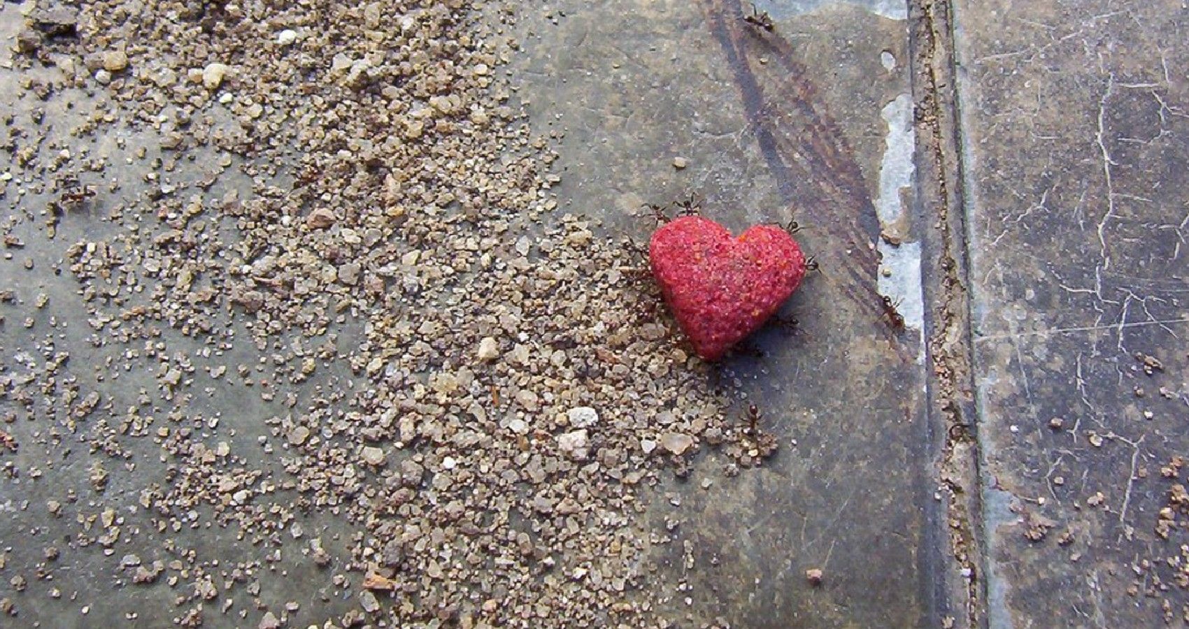 A small red heart on the sidewalk