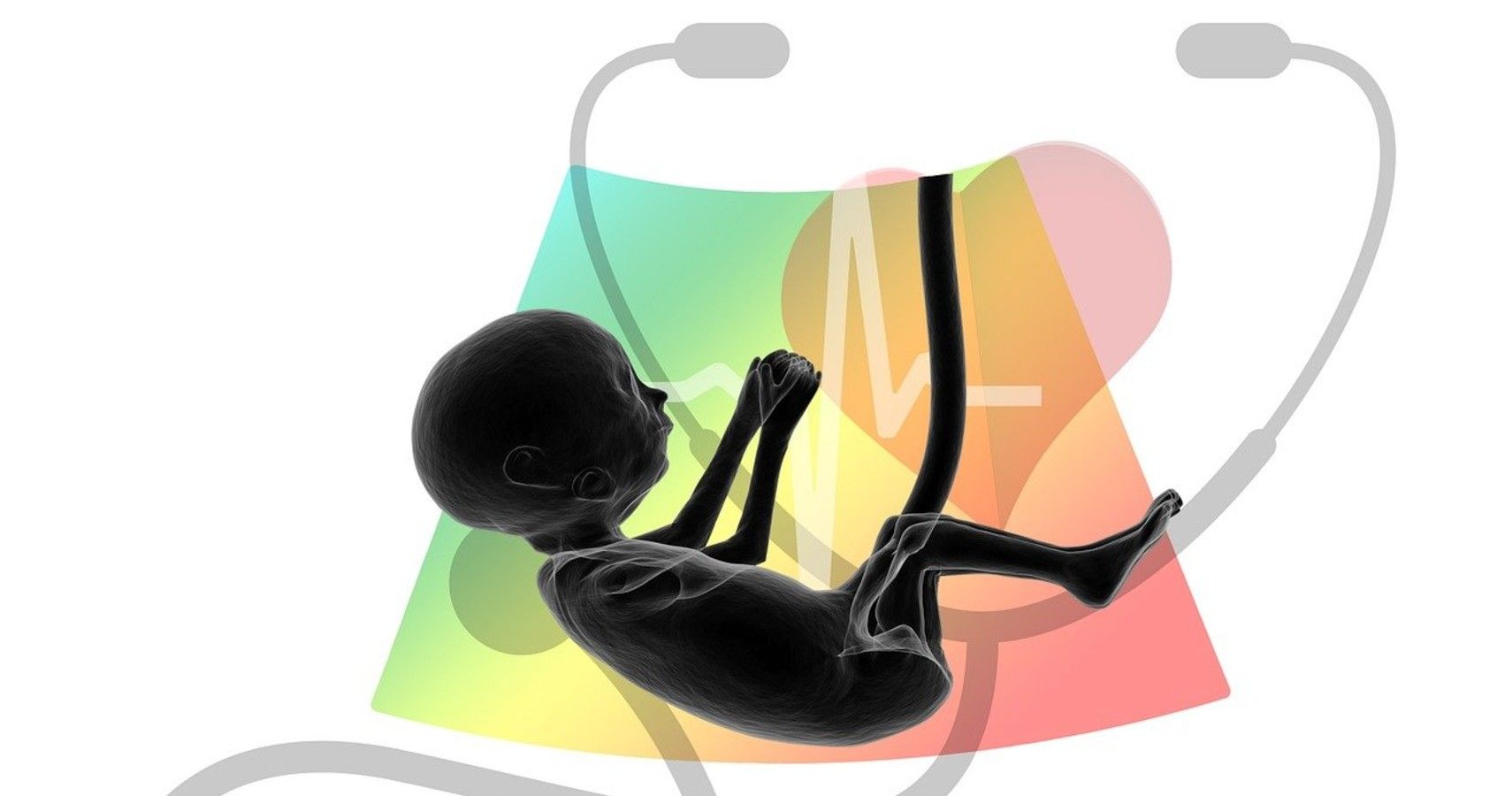 Virtual Placenta Helps Detect Fetal Growth Issues