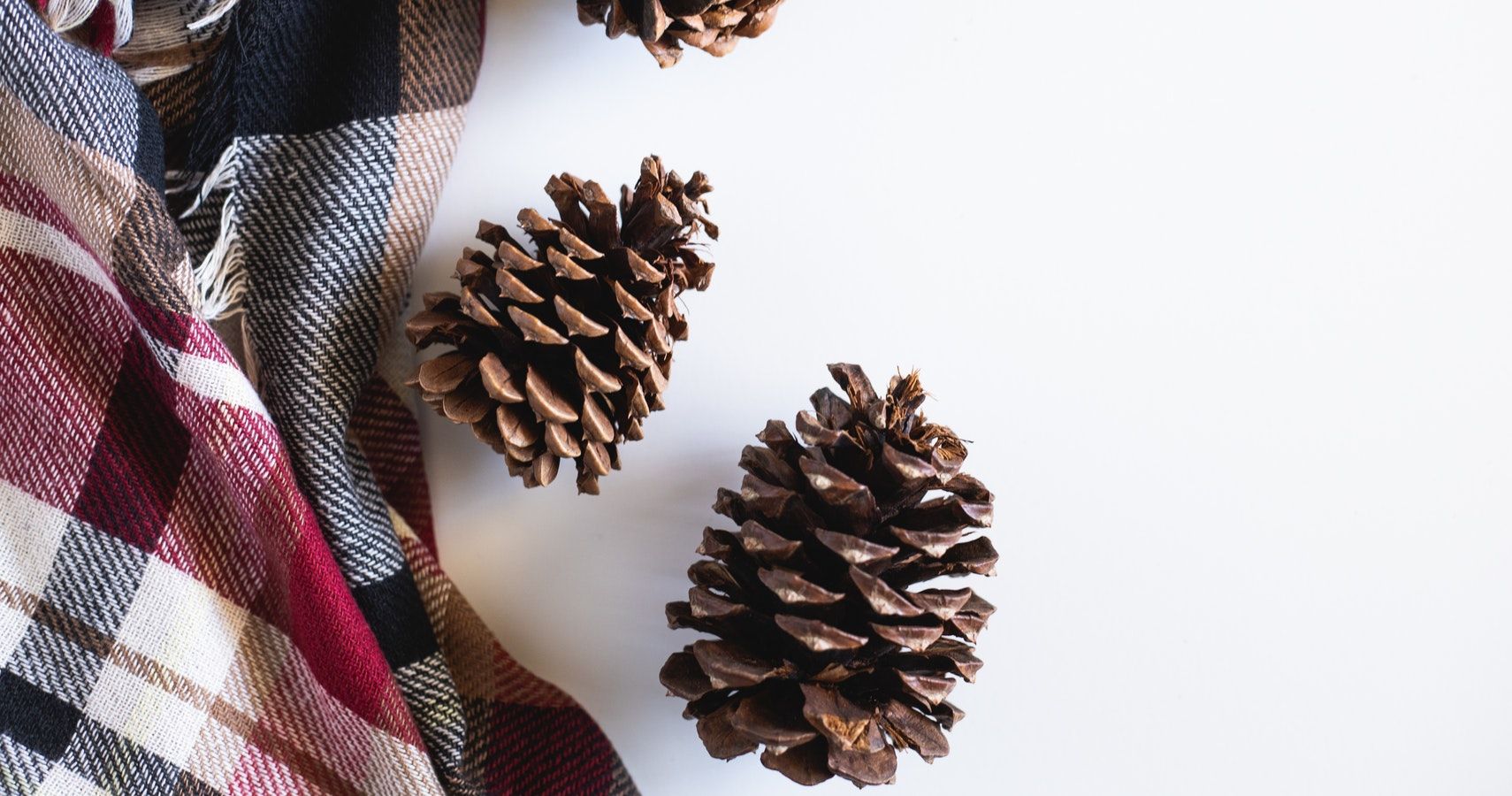 Easy Crafts To Do With Toddlers Using Pine Cones
