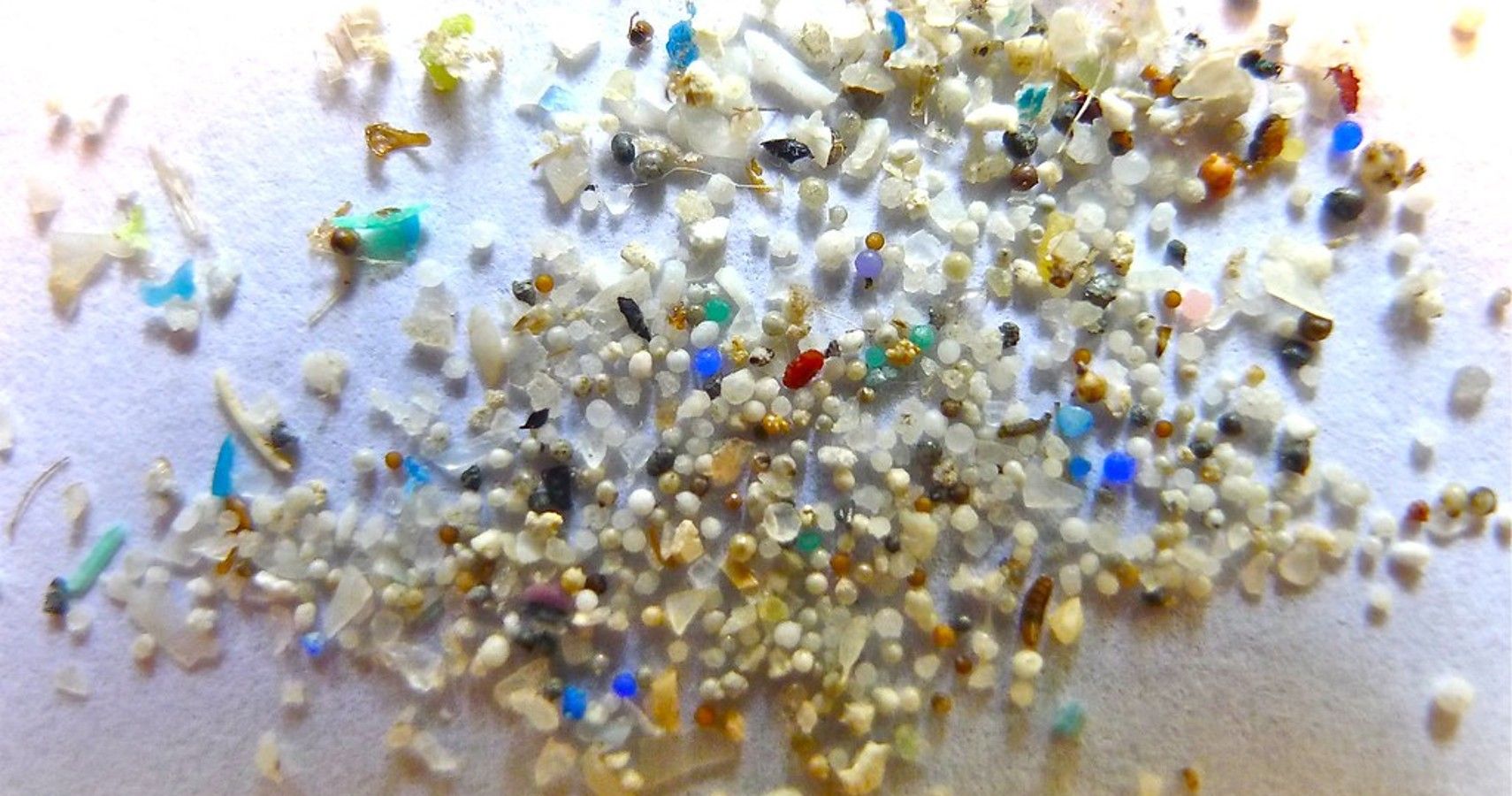 Staggering Amount Of Microplastic Found In Baby Poop (1)