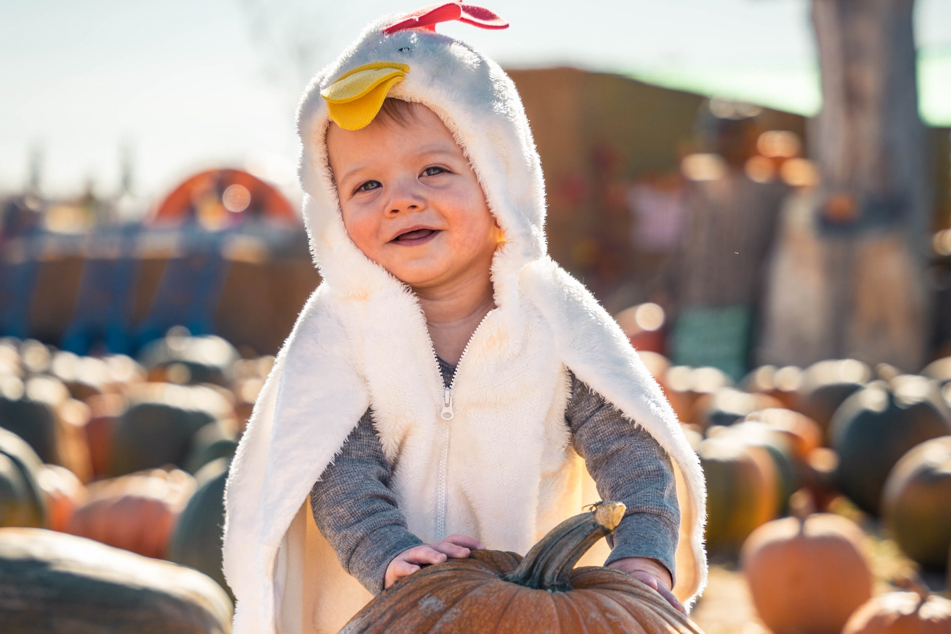 baby in chicken costume