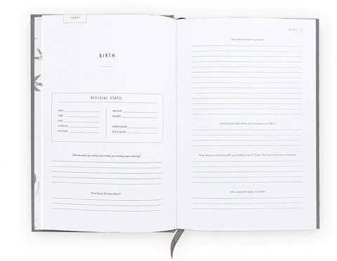 Best Pregnancy Journals