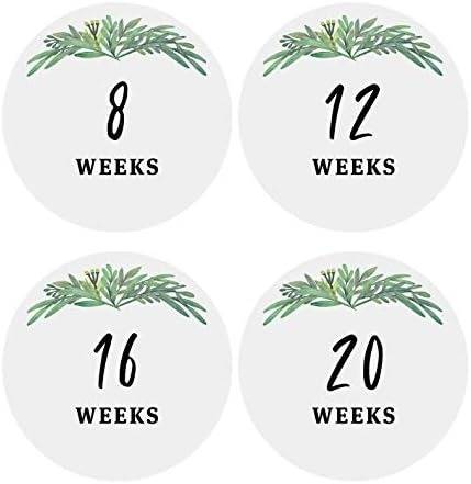Best Pregnancy Milestone Cards And Stickers