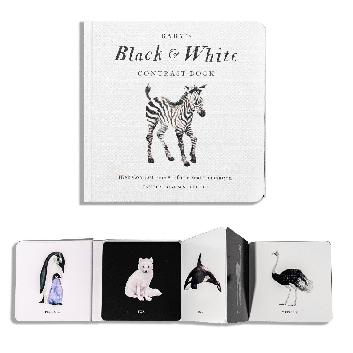 Best Black And White High-Contrast Books For Infant Visual Stimulation