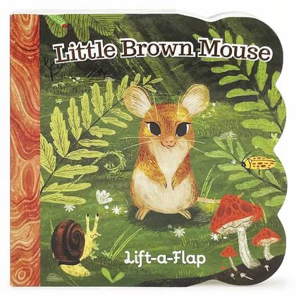 Best Lift-The-Flap Books For Curious Toddlers