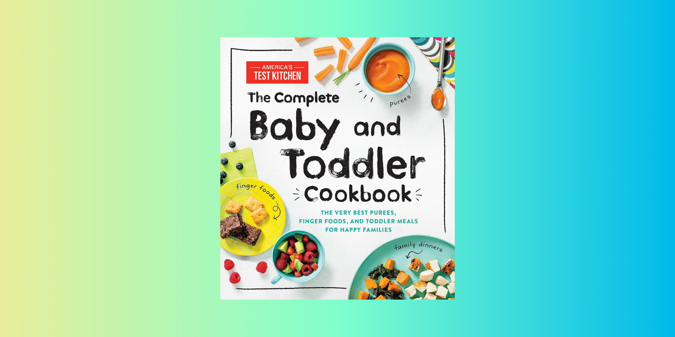 best cookbooks for baby food